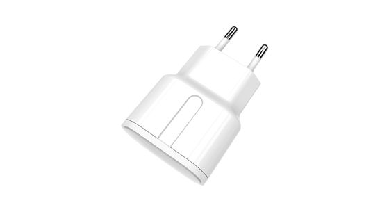 5V2.4A 100-240V DC European Ipad Charger